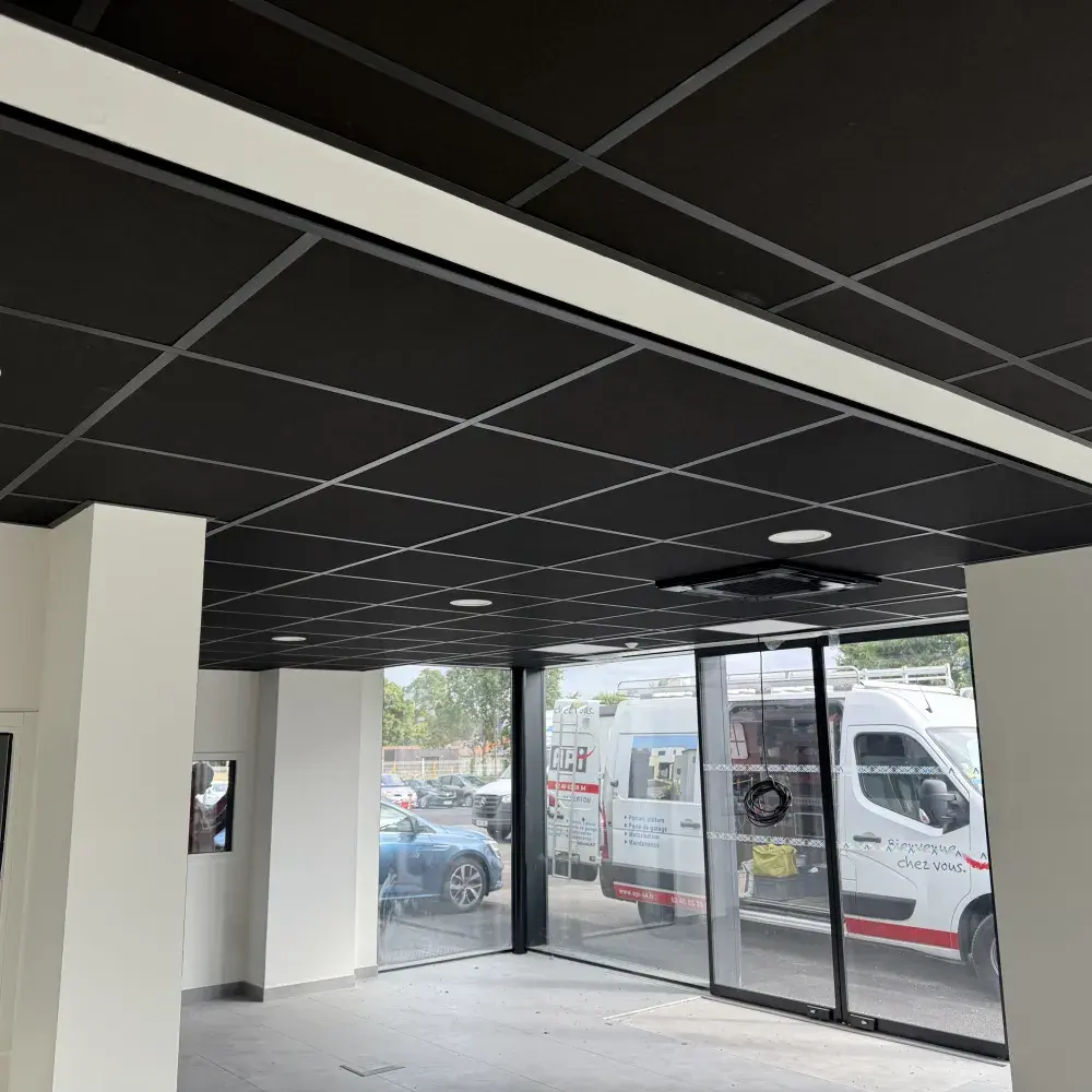 Dalle plafond Renault